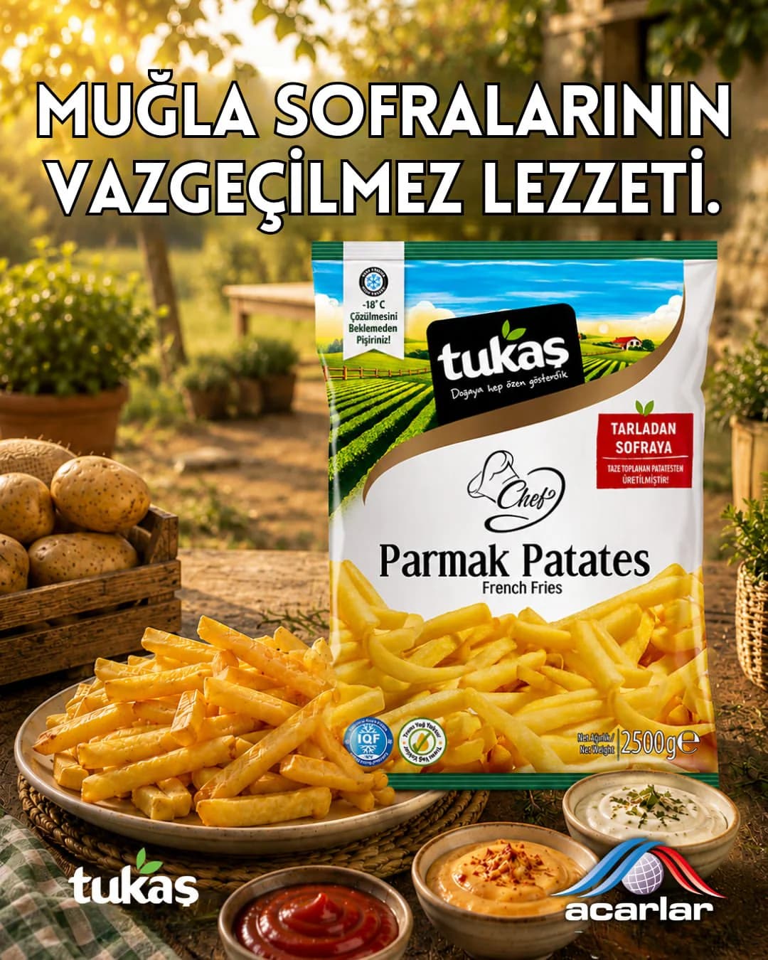 Acarlar