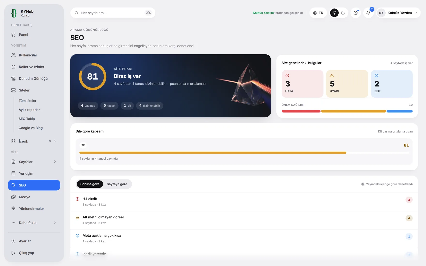 SEO raporu: sayfa sayfa puan ve yapılacaklar.