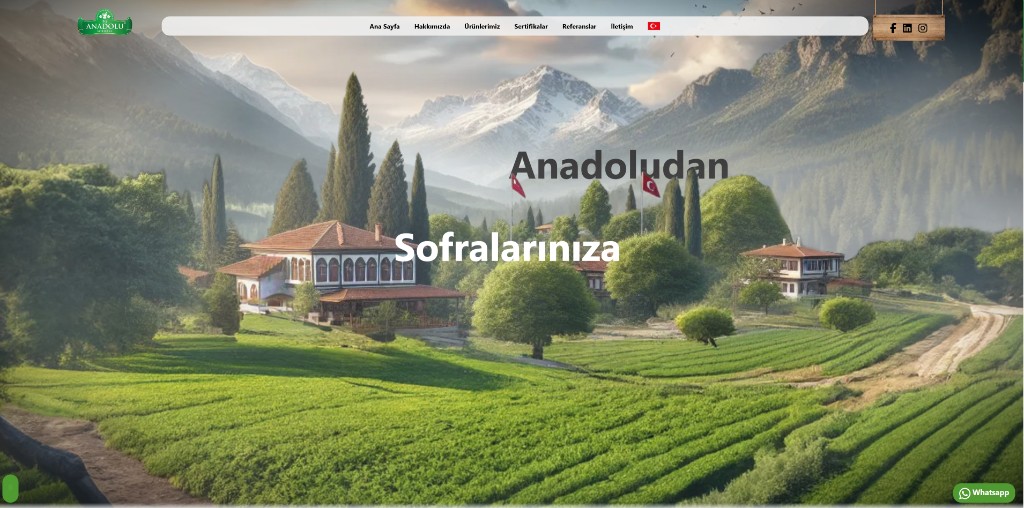 Kurumsal web sitesi referansı - B.S Anadolu Baharat