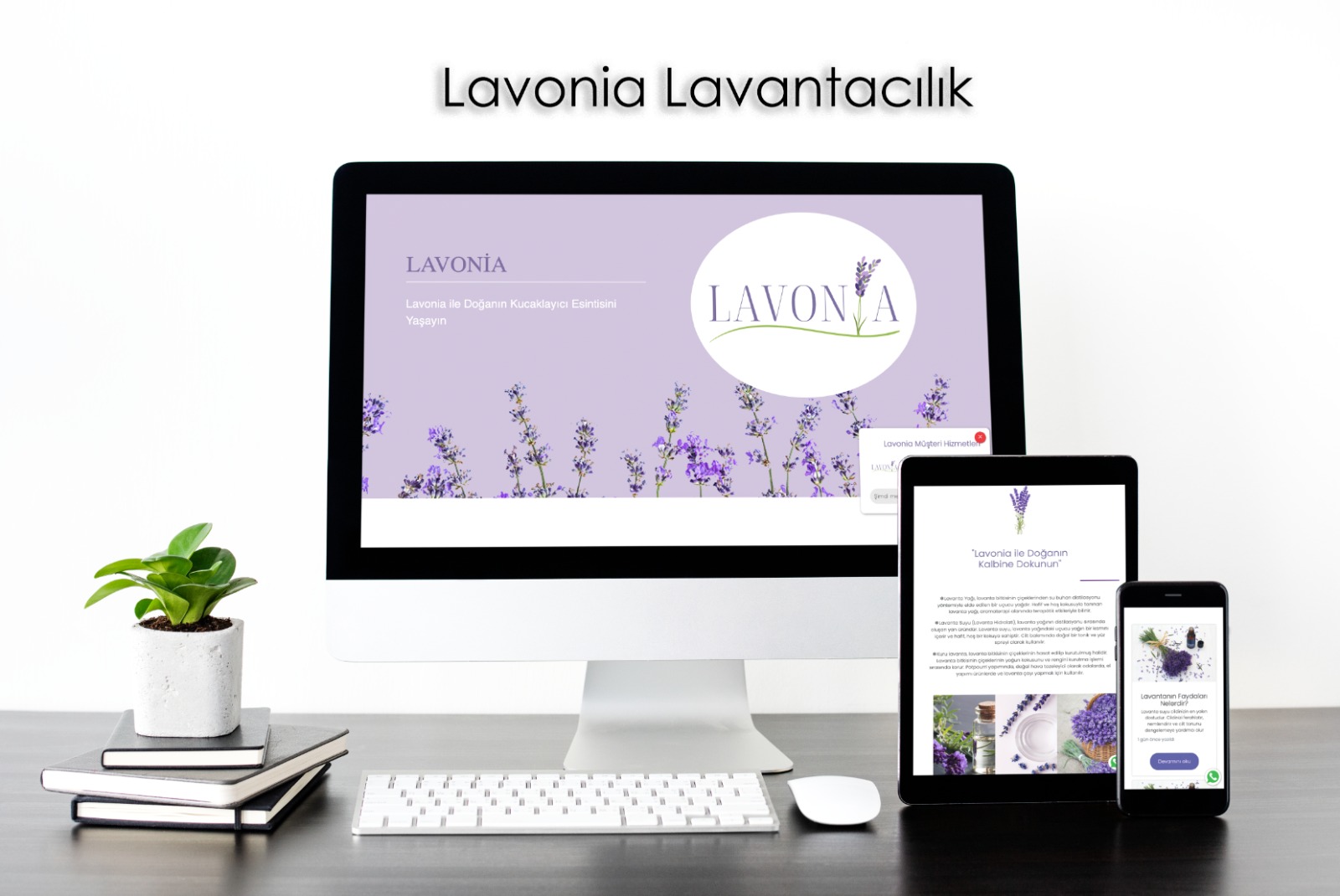 LAVONİA